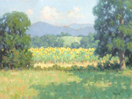Sunflower Summer 18 x 24 oil on panel - Available